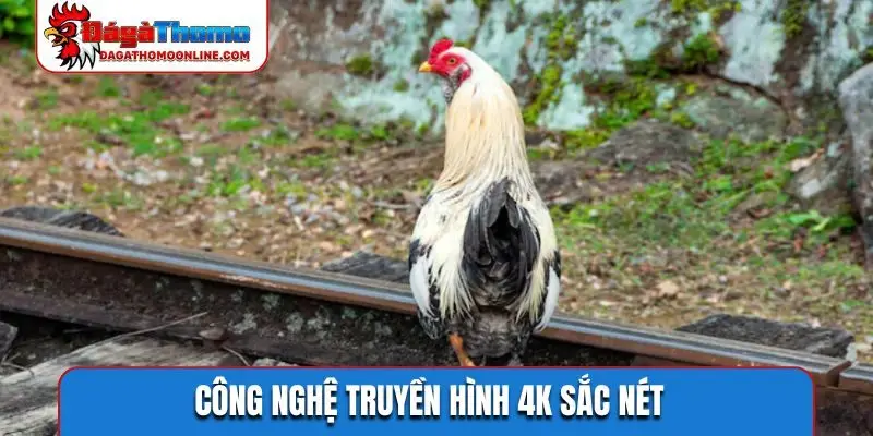 Công nghệ truyền hình 4K sắc nét