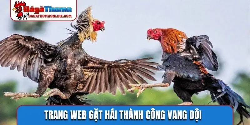 Trang web gặt hái thành công vang dội
