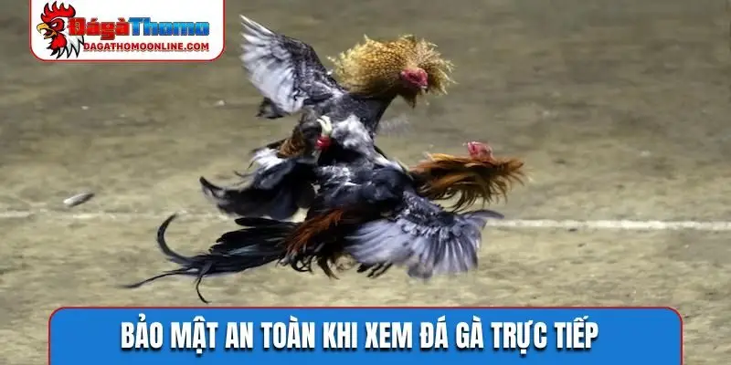 Bảo mật an toàn khi xem đá gà trực tiếp