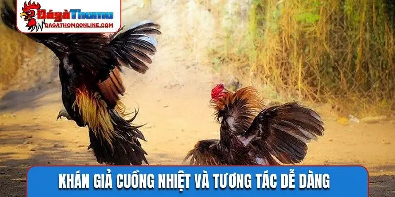 Khán giả cuồng nhiệt và tương tác dễ dàng