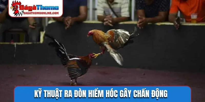 Kỹ thuật ra đòn hiểm hóc gây chấn động