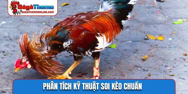 Phân tích kỹ thuật soi kèo chuẩn
