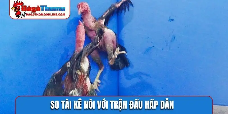 So tài kê nòi với trận đấu hấp dẫn