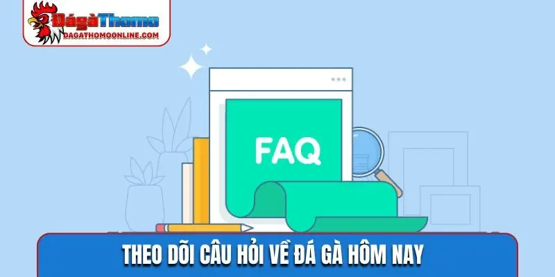 Theo dõi câu hỏi về đá gà hôm nay