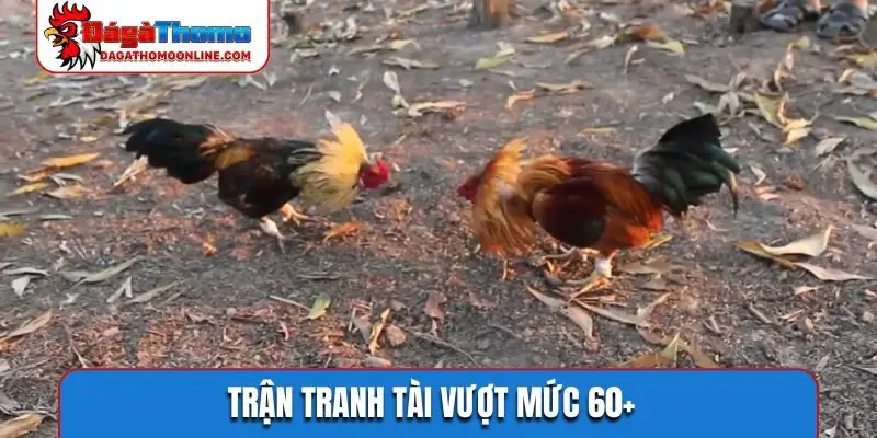 Trận tranh tài vượt mức 60+