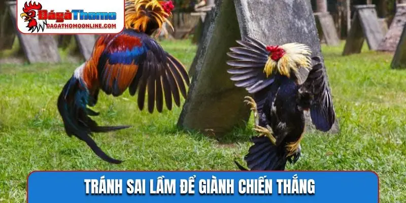 Tránh sai lầm để giành chiến thắng