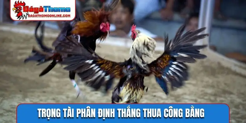 Trọng tài phân định thắng thua công bằng