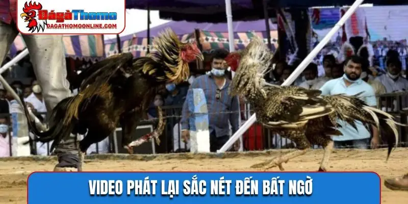 Video phát lại sắc nét đến bất ngờ